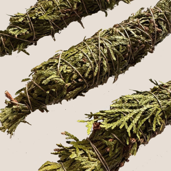 Kadzidło w Pęczku z Żywotnika