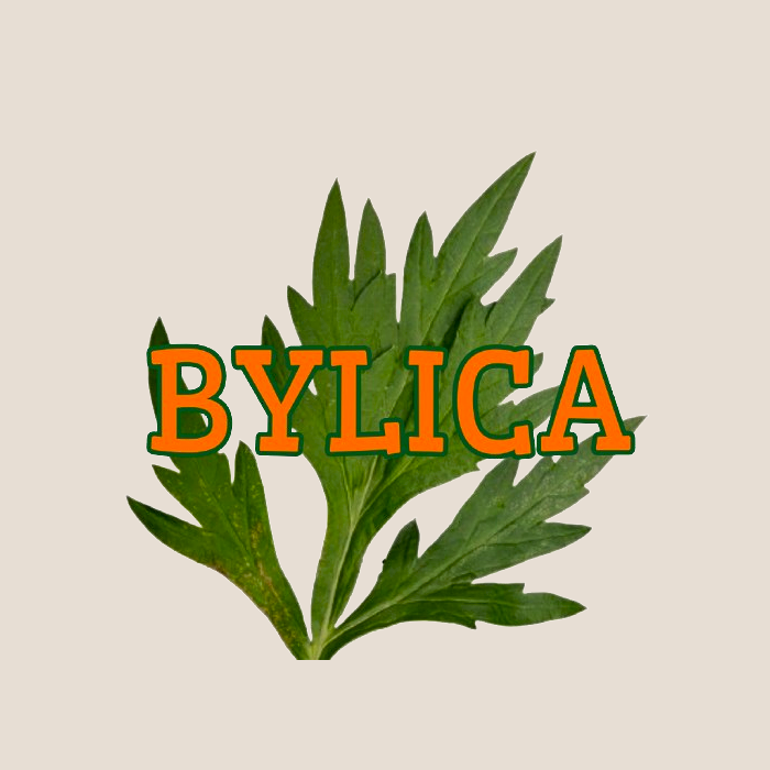 bylica